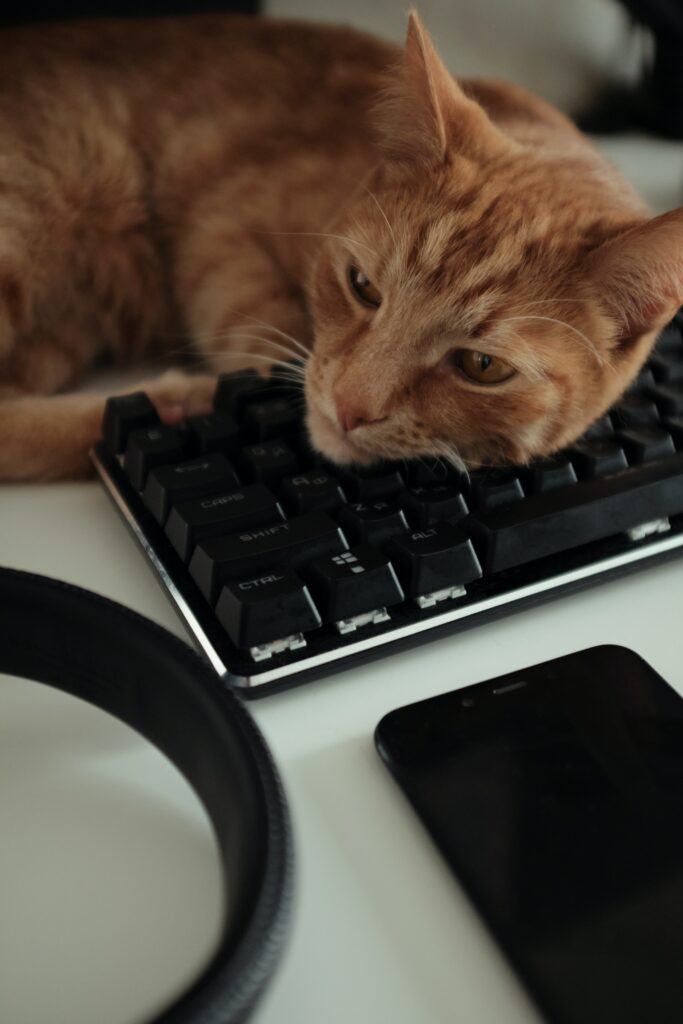 A ginger cat lies across a keyboard.